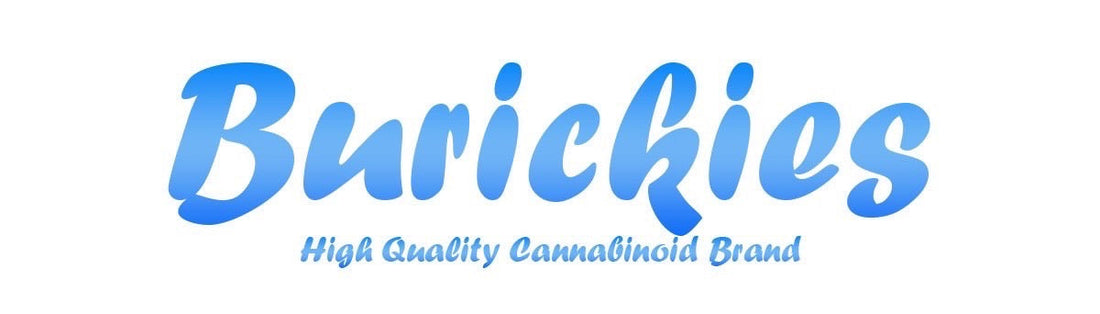 プレゼントキャンペーン